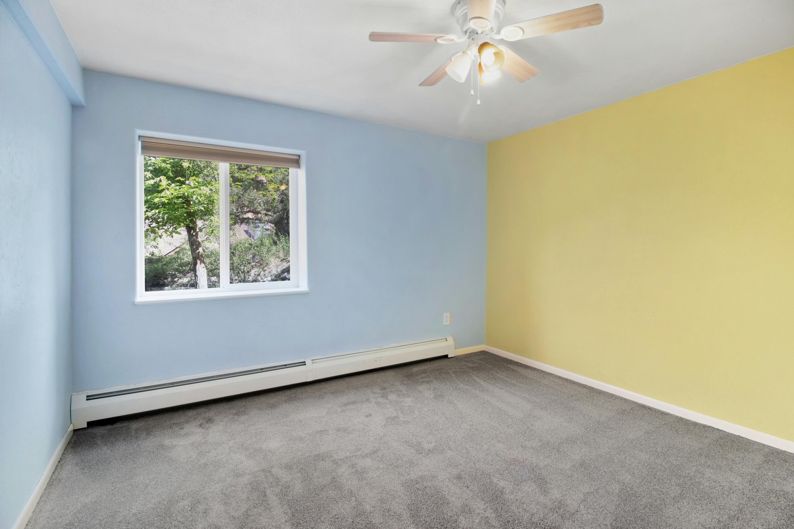 Property renovation